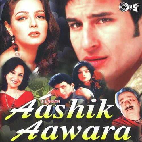 Aashik Aawara (1993) (Hindi)